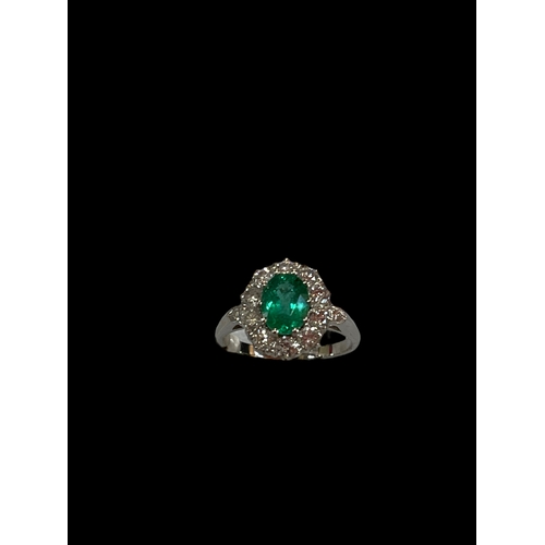 192 - Emerald and diamond platinum ring, having oval emerald bordered with ten diamonds and diamond set sh... 