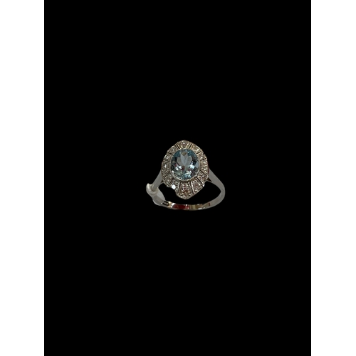 198 - Aquamarine and diamond platinum ring, the oval aqua bordered with fourteen diamonds, size O/P.