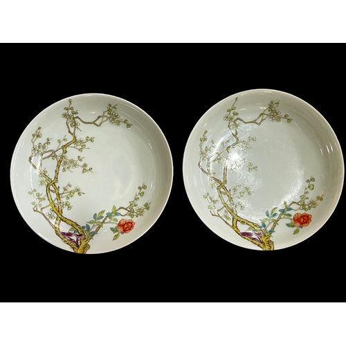 Pair Chinese saucer dishes with blossom decoration, 20cm diameter.