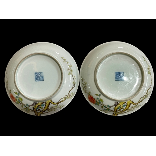 Pair Chinese saucer dishes with blossom decoration, 20cm diameter.