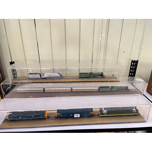 55 - Collection of model trains in display cases.