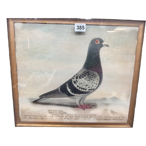 J Browne, 'Old Gits Cock' and 'True Blue', racing pigeon studies, pair ...