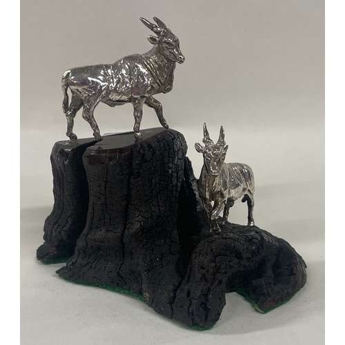 8 - A pair of silver African antelope on a stand. Approx. 188 grams. Est. £200 - £300.