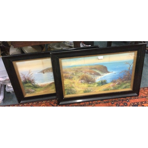 112 - A good pair of decorative watercolours. Est. £50 - £80.