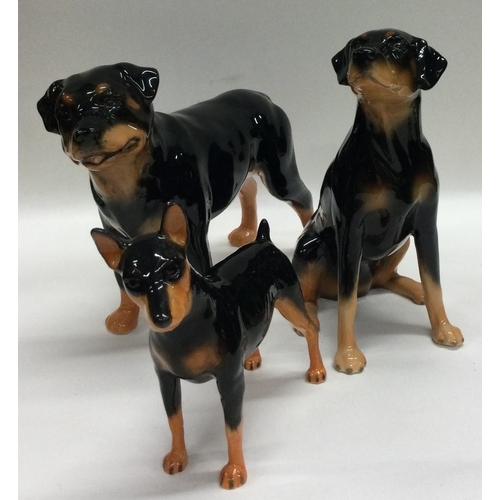 692 - Three boxed Beswick Doberman dog figures. Est. £20 - £30.