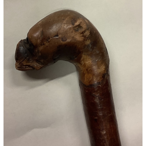 815 - An unusual tapering walking stick in the form of a dog. Est. £20 - £30.