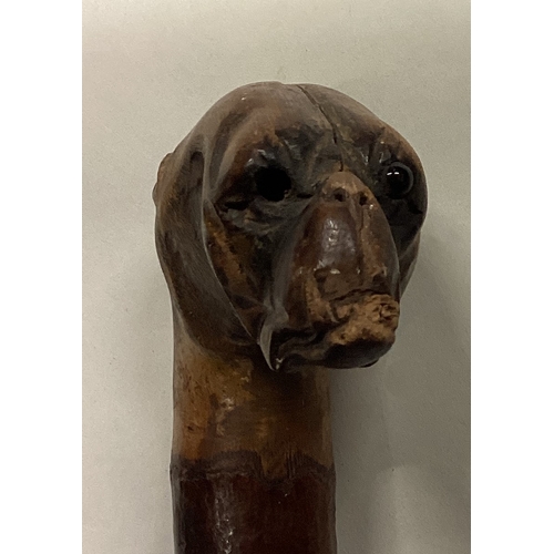 815 - An unusual tapering walking stick in the form of a dog. Est. £20 - £30.