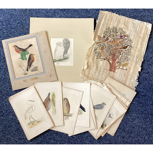 1074 - A selection of Natural History bird plates together with others. Various sizes. Est. £80 - £120.