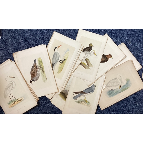 1074 - A selection of Natural History bird plates together with others. Various sizes. Est. £80 - £120.