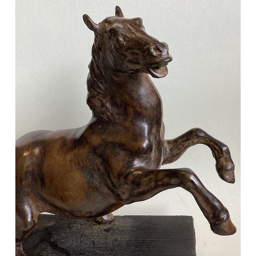 429 - A bronze figure of a rearing horse mounted on wood plinth. Approx. 24 cms high. (Base approx. 27.5 c... 