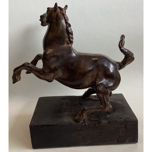 429 - A bronze figure of a rearing horse mounted on wood plinth. Approx. 24 cms high. (Base approx. 27.5 c... 