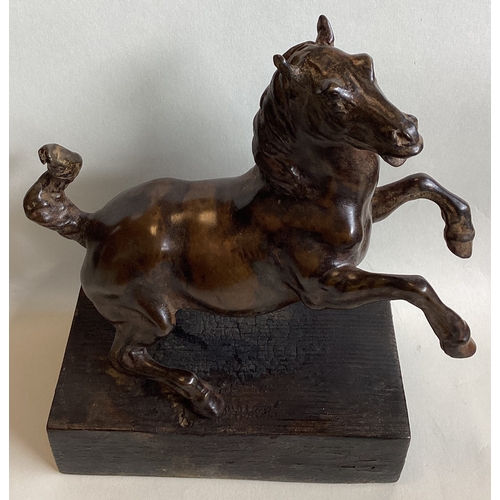 429 - A bronze figure of a rearing horse mounted on wood plinth. Approx. 24 cms high. (Base approx. 27.5 c... 