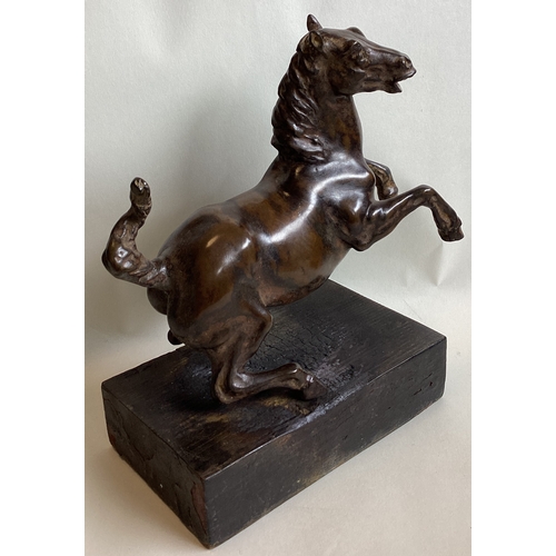 429 - A bronze figure of a rearing horse mounted on wood plinth. Approx. 24 cms high. (Base approx. 27.5 c... 