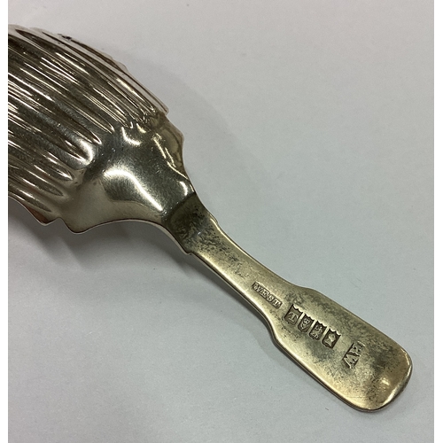 263 - DUBLIN: A rare George III Irish silver fluted caddy spoon. 1815. By Matthew West. Approx. 9 grams. E... 