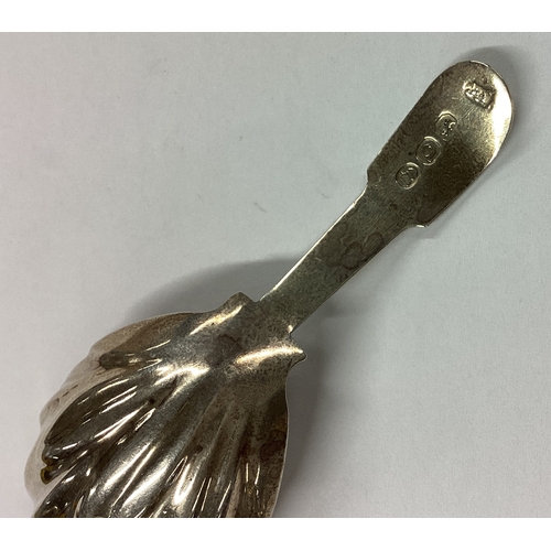 627 - A Georgian silver caddy spoon with fluted bowl. London 1811. By Joseph Angel. Approx. 12 grams. Est.... 