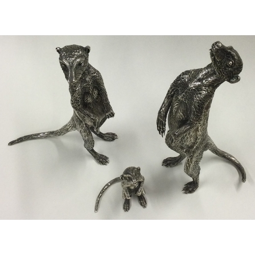 790 - PATRICK MAVROS: A fine set of three silver figures of meerkats in standing position with textured bo... 