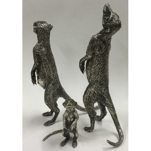 790 - PATRICK MAVROS: A fine set of three silver figures of meerkats in standing position with textured bo... 