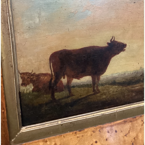 124 - A maple framed primitive oil on panel depicting bulls. Approx. 20 cms x 19 cms (ss). Est. £600 - £80... 