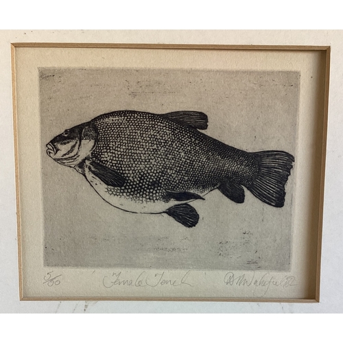 140 - A Limited Edition book plate print entitled 'Female Tench'. Numbered 5 / 50. Pencil signed D R Wakef... 