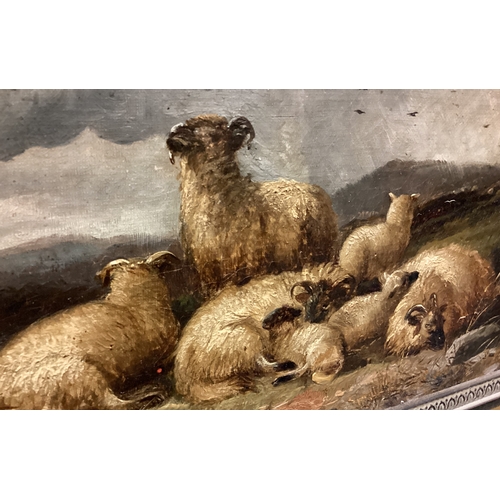 98 - ALFRED MORRIS: (British, fl. 1853 - 1873): A framed oil on canvas depicting sheep in a Highland land... 