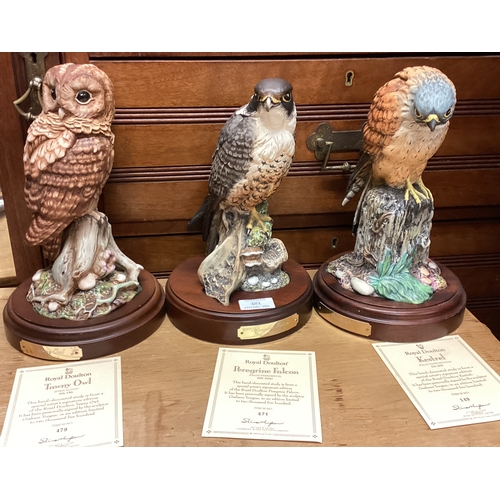 481 - A good set of three Royal Doulton birds of prey figures on stands. Est. £30 - £50.