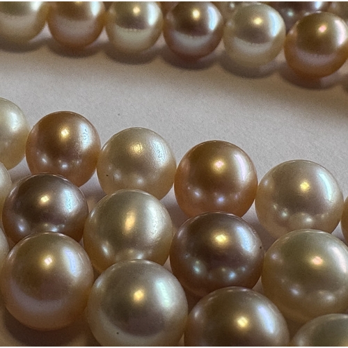 754 - A good triple-row pearl choker with gold clasp. Approx. 107 grams. Est. £400 - £600.