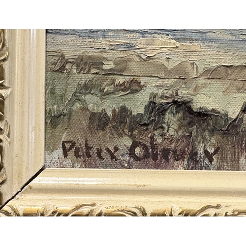 116 - PETER OLIVER: A framed oil on board entitled 'Showery Day Near Luppitt' depicting a typical Devonshi... 