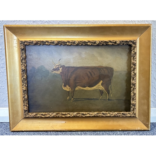 Lot 19        