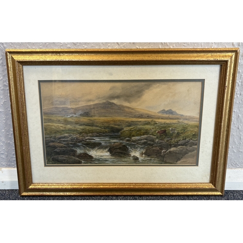 Lot 24        