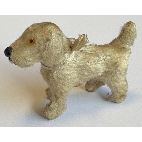 325 - STEIFF: A rare vintage mohair terrier dog with glass eyes, stud nose and ribbon. Circa 1950s. Approx... 