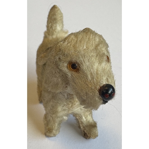 325 - STEIFF: A rare vintage mohair terrier dog with glass eyes, stud nose and ribbon. Circa 1950s. Approx... 