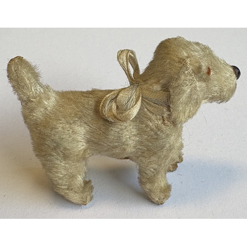 325 - STEIFF: A rare vintage mohair terrier dog with glass eyes, stud nose and ribbon. Circa 1950s. Approx... 