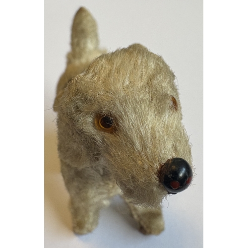 325 - STEIFF: A rare vintage mohair terrier dog with glass eyes, stud nose and ribbon. Circa 1950s. Approx... 
