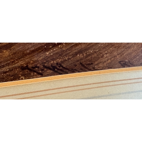 37 - JOHN WHITE: (British, 1851 - 1933): A gilt framed and glazed watercolour depicting a donkey with fis... 