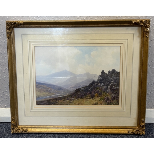 Lot 50        