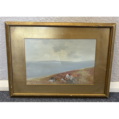 Lot 51        