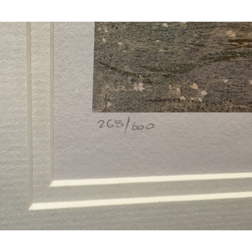 87 - D J CURTIS: A framed and glazed limited edition print entitled 'Polperro Harbour'. Number 265 / 600.... 