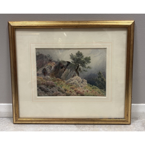 Lot 443       