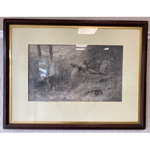 Lot 515       