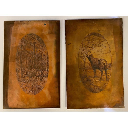 Lot 516       