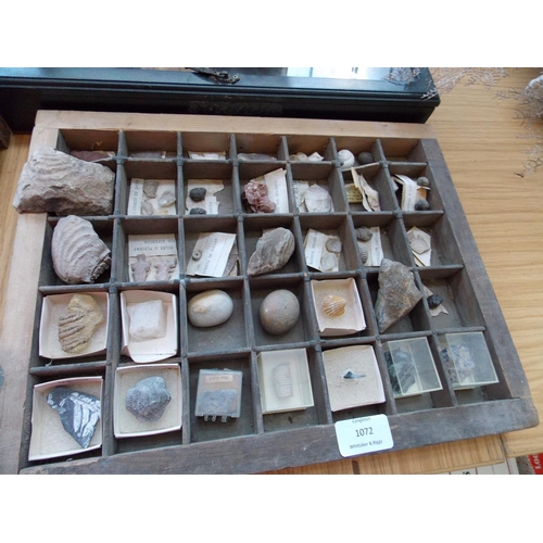 1072 - FOUR DISPLAY CASES AND ONE BOX CONTAINING A LARGE COLLECTION OF SEA SHELLS, FOSSILS AND PRECIOUS STO... 