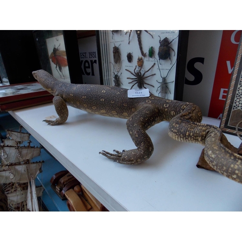 1122 - A VINTAGE TAXIDERMY NILE MONITOR