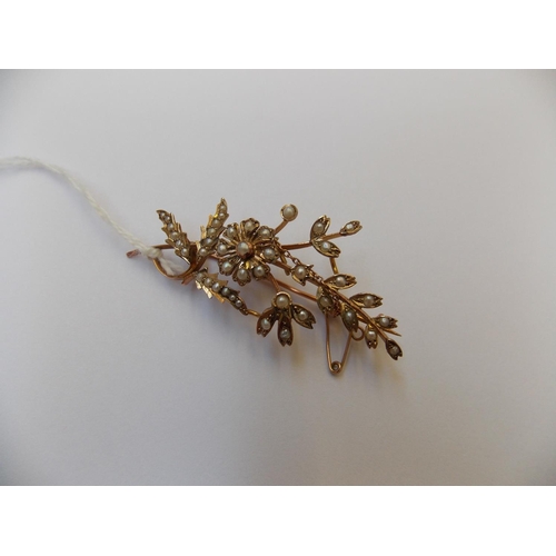 402 - A LARGE 9 CARAT GOLD SEED PEARL FLOWER BROOCH