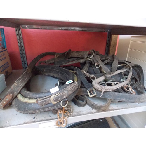 66 - A SELECTION OF HORSE HARNESS TO INCLUDE COLLAR WITH BRASS HAMES, SADDLE STRAPS ETC