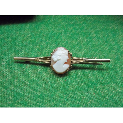 483 - A 9 CARAT GOLD LADIES CAMEO STICK PIN