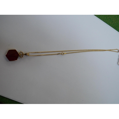 490 - A 9 CARAT GOLD AGATE PENDANT AND CHAIN