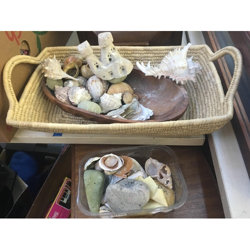 390 - A BASKET CONTAINING A QUANTITY OF SEA SHELLS