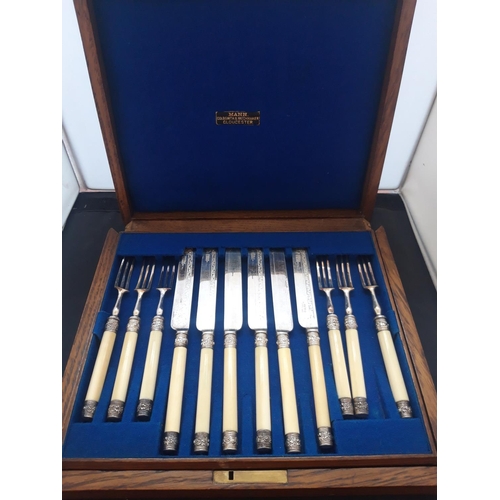 1085 - AN OAK CASED 12 PLACE FISH KNIFE AND FORK SET WITH BONE HANDLES