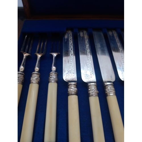 1085 - AN OAK CASED 12 PLACE FISH KNIFE AND FORK SET WITH BONE HANDLES