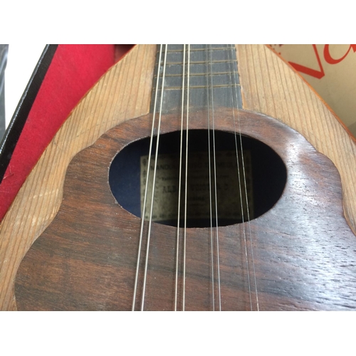 282 - A VINTAGE BEGINNERS MANDOLIN IN ORIGINAL LEATHER CASE